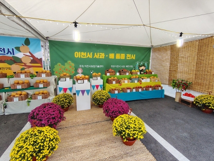 「제24회 이천시 사과·배 품평·전시회」 개최