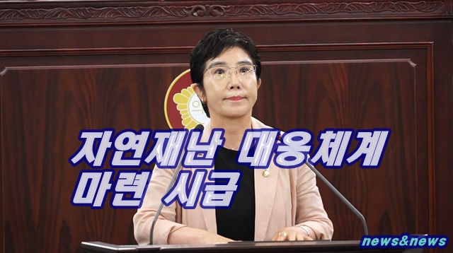 시민 불안 해소 위한 실효적 자연재난 대응체계 마련 시급