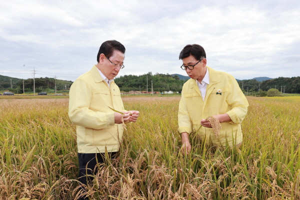 김철우 보성군수·김영록 전남도지사, 벼 깨씨무늬병 피해 현장 점검