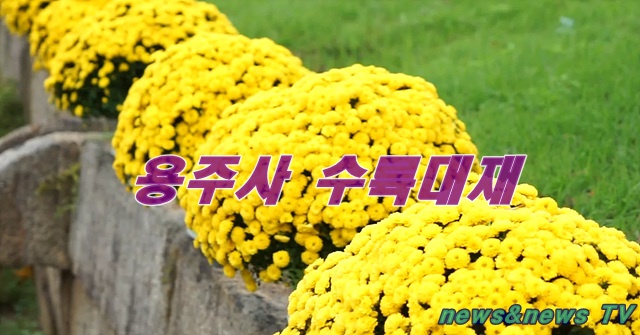 화성특례시 용주사불기 2569년 수륙대재