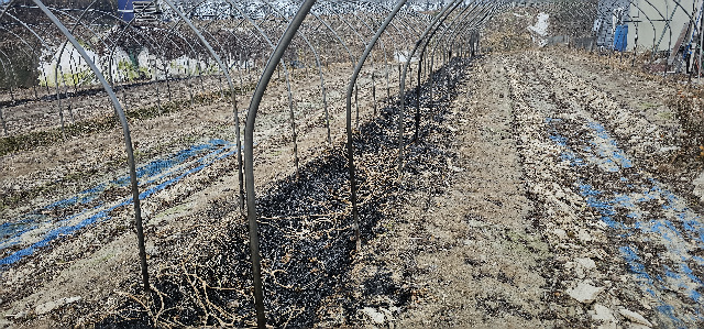 농사용 부산물 소각은 행정신고로 농사에 걱정없게