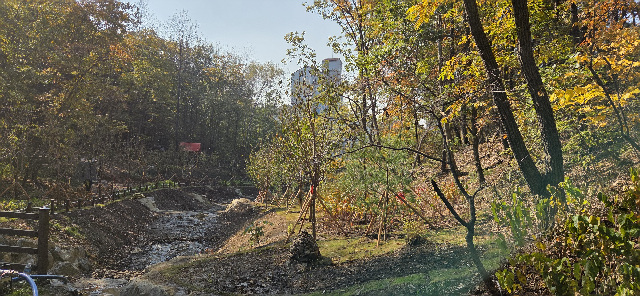 용인특례시, 수지구 죽전동에 도시 숲 조성