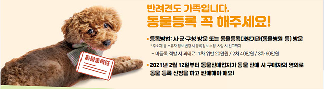 양평군, 2026년 동물등록제 비용 지원사업 실시
