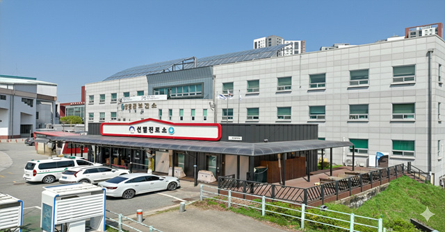 양평군, 설 연휴 비상진료체계 가동