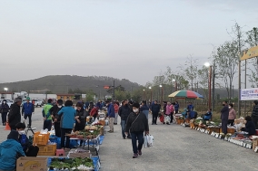 2026년 안성농업인 직거래 새벽시장 18일 개장