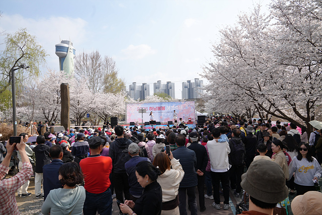 눈 감으면 선율, 눈 뜨면 벚꽃… 하남 당정뜰 ‘봄봄’ 축제에 홀린 주말