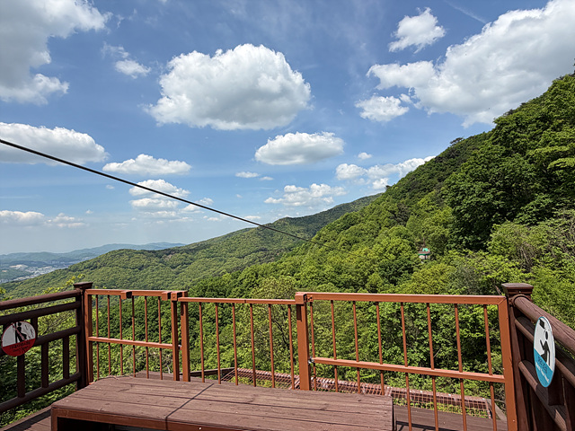 용인특례시, 용인자연휴양림 짚라인 재개장