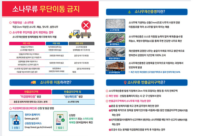 구리시, 소나무재선충병 확산 차단 위한 소나무류 취급 업체 특별단속 실시