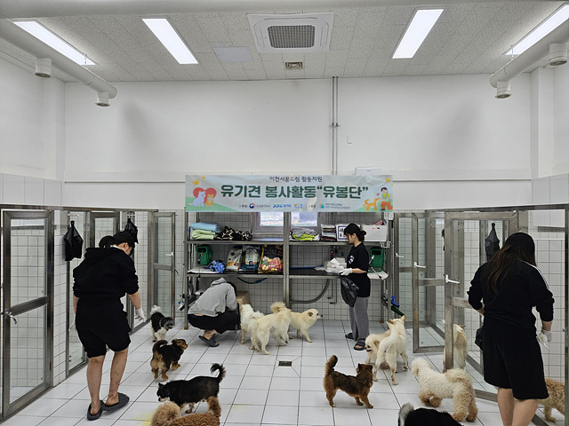 이천시학교밖청소년지원센터, 유기동물 보호소서 자원봉사활동 진행