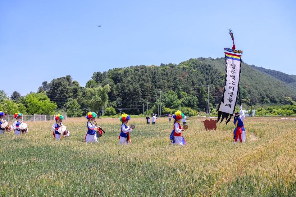 제4회 양평 밀 축제 성료… 환경교육주간 연계 체험형 축제로 우리밀 가치 확산