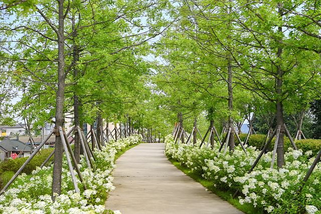 원주시 '치악산 바람길숲' 야간경관개선 사업 완료