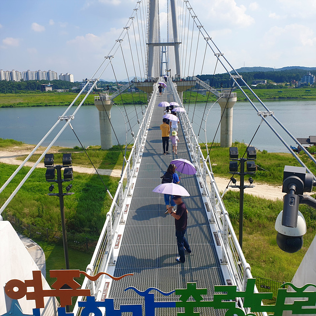출렁다리에 물든 보랏빛 향연... 여주세종문화관광재단, 컬러 우산 운영