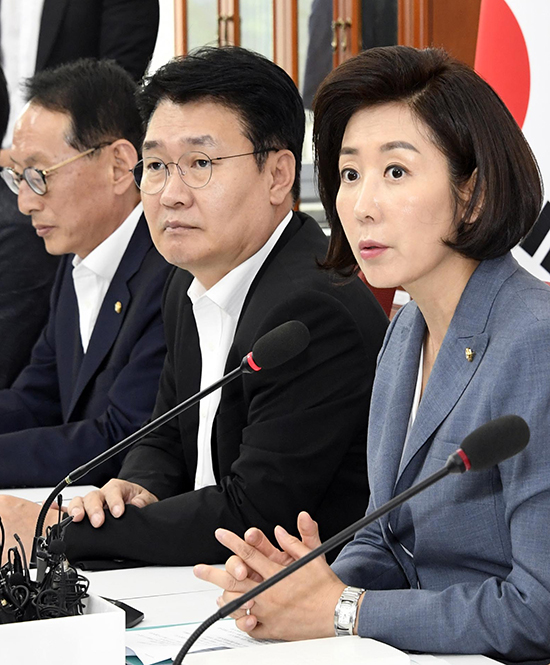 나경원조국대책TF1.jpg