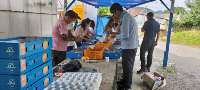 감물면 전직원, 생산적 일손봉사 구슬땀3.jpg