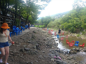 6.용인 고기리계곡 전.jpg