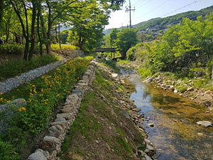 6.용인 고기리계곡 후.jpg