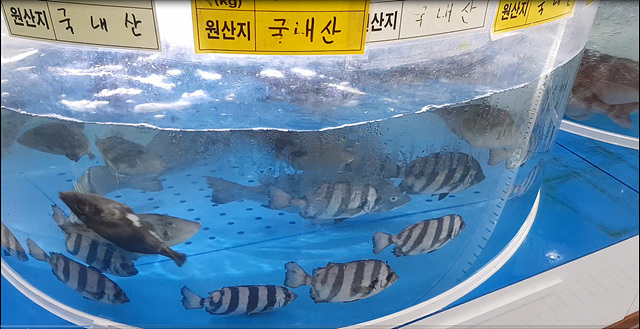 관련+사진(2).jpg