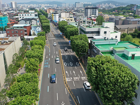최병암 산림청장, 수원시 ‘아름다운 가로수길’ 현장 방문 2.jpg