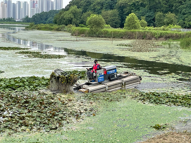수원시, 광교호수공원 호수 깨끗하게 청소한다.jpg