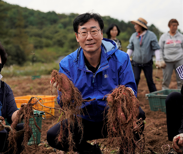 1-1. 고구마.jpg