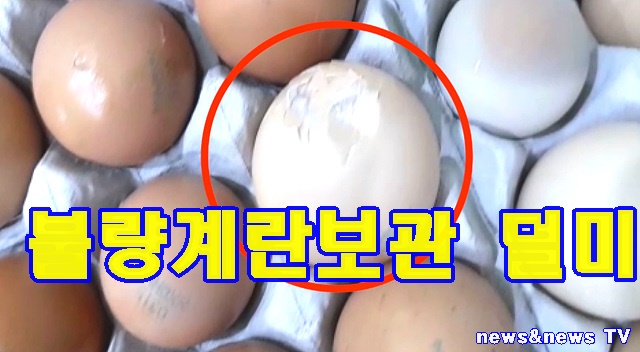 불량계란.jpg