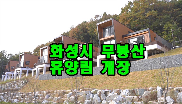 무봉산 휴양림.jpg