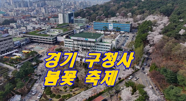 꽃 축제.jpg