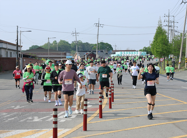 ③ 제21회 보성녹차마라톤, 즐거움도 함께 달린다!.jpg