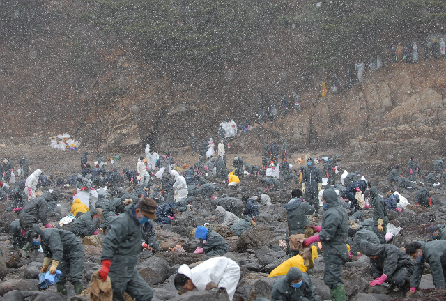 사진_4_지난_2007년_충남_태안_기름유출_사고_당시_약_3만_명의_봉사자가_현장을_찾아_복구_작업에_동참했다_.jpg